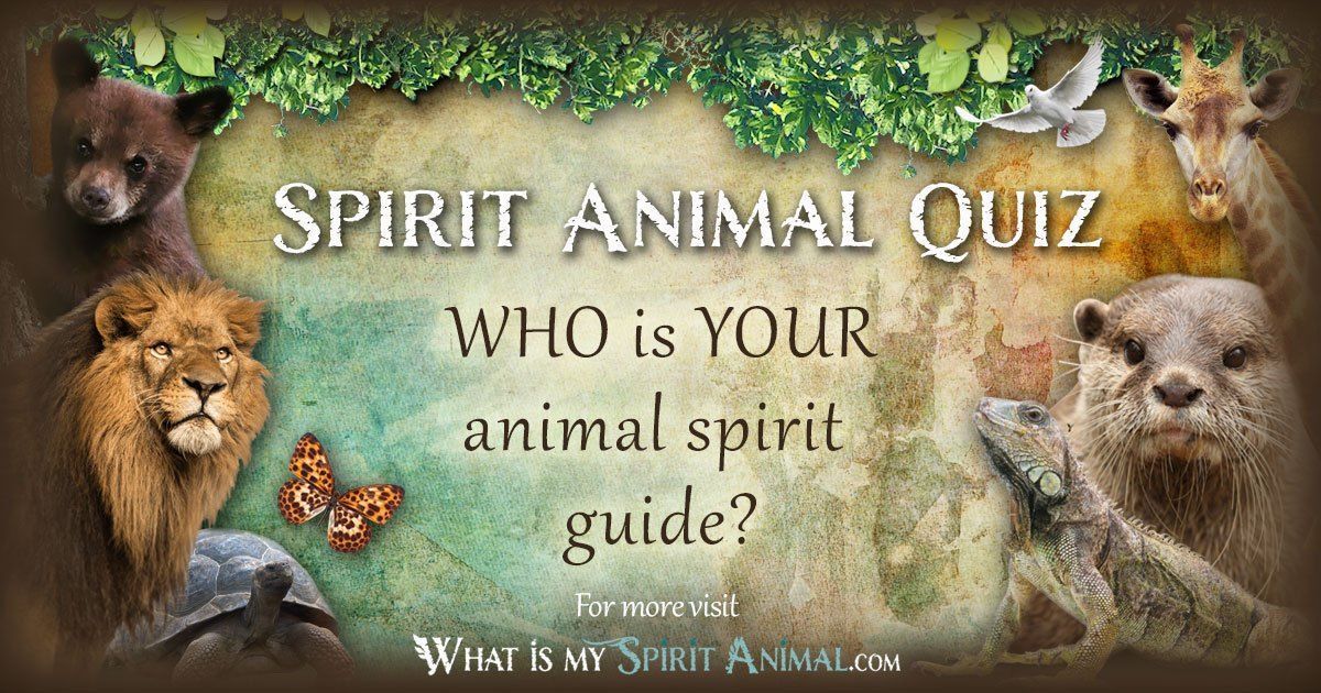 How to identify your jung animal: A quick quiz for self-discovery.