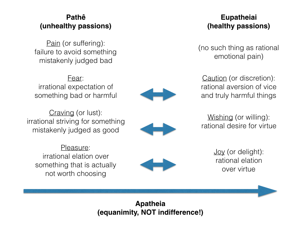 The stoic p theory of knowledge: What are its main points? (Get a clear and simple summary of key elements)