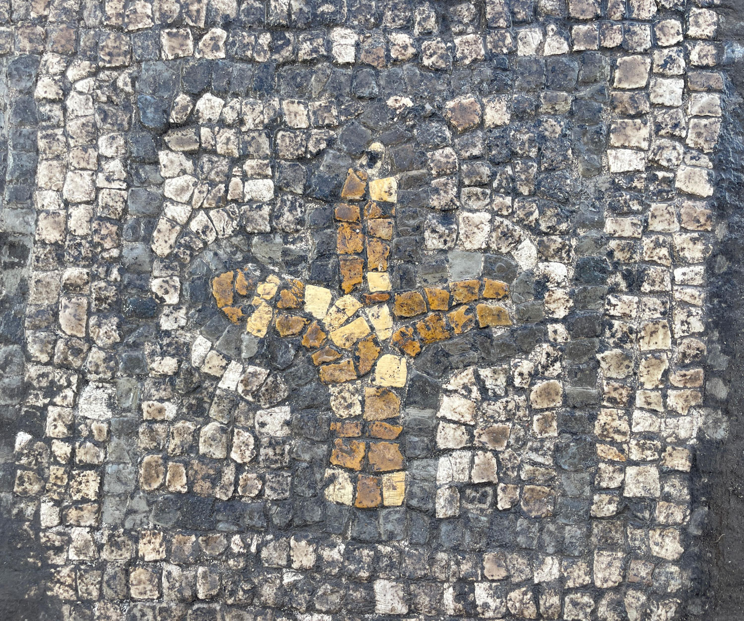 Curious about the pergamon mosaic house excavation turkey? Find out what cool ancient things they dug up.