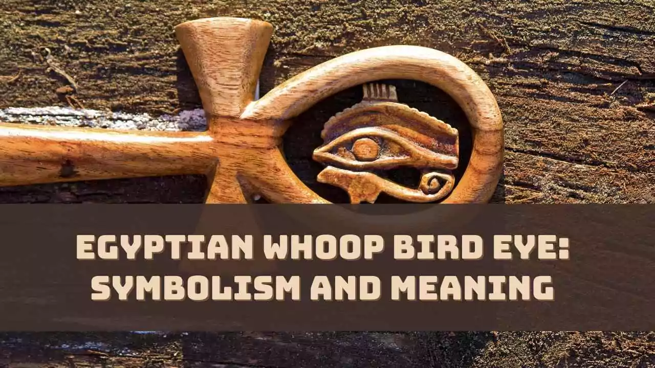 Is the egyptian whoop bird eye a real thing? Get the real story and clear up confusion.