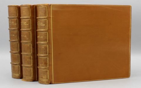 Best books about the french revolution: Which ones are truly good? (A simple guide for you)