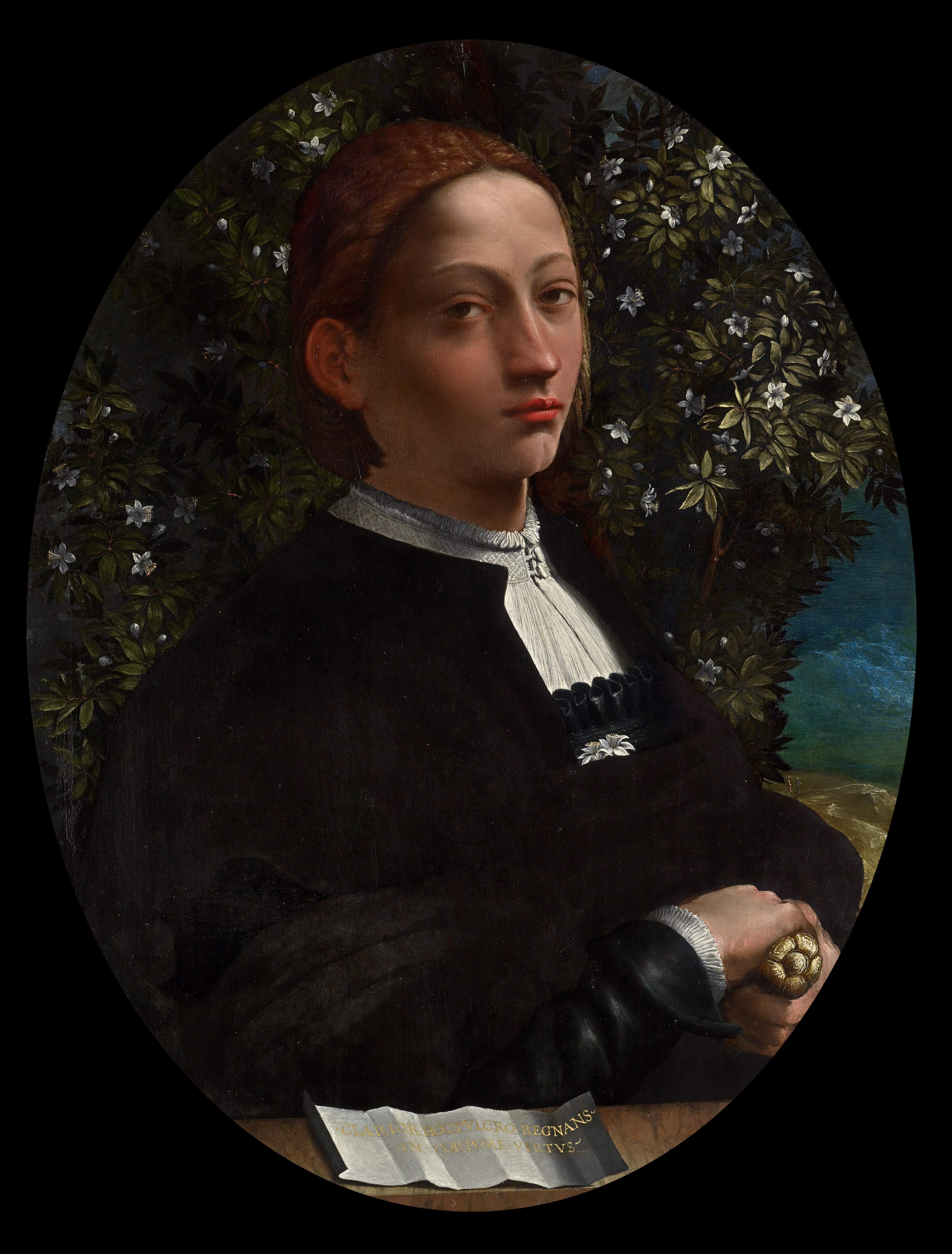 What do paintings of Lucrezia Borgia look like? See these famous portraits of the noblewoman.
