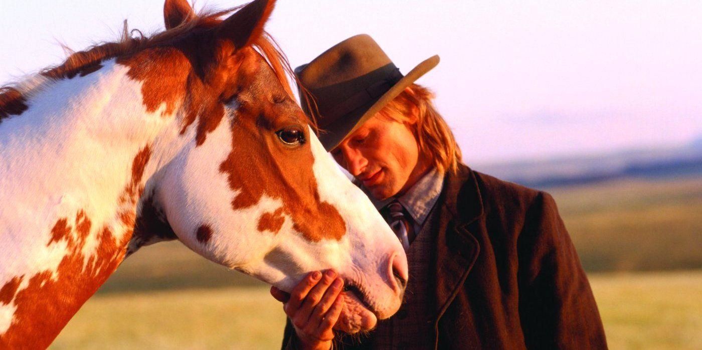 Famous Horses From Movies See Which Hero Horses Galloped into Our Hearts
