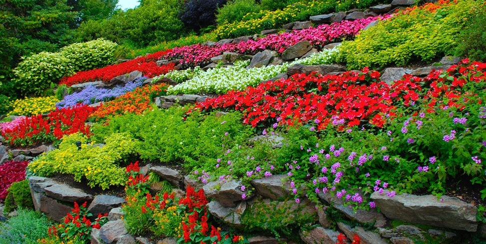 How Can You Easily Create a Flower Garden Gustav? Follow These Simple Steps for a Truly Beautiful Yard.