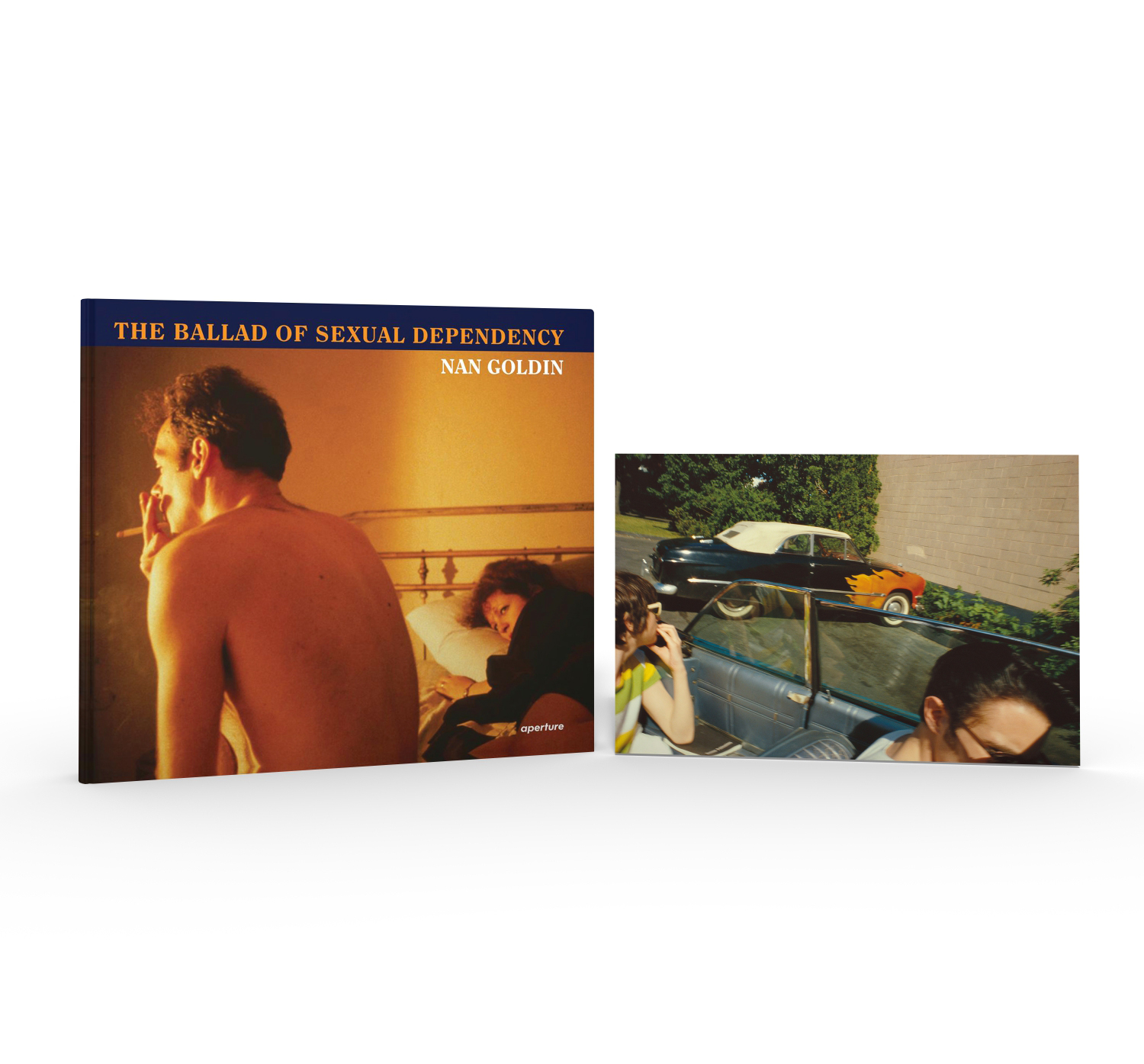 photog goldin the ballad book explore famous photo series works