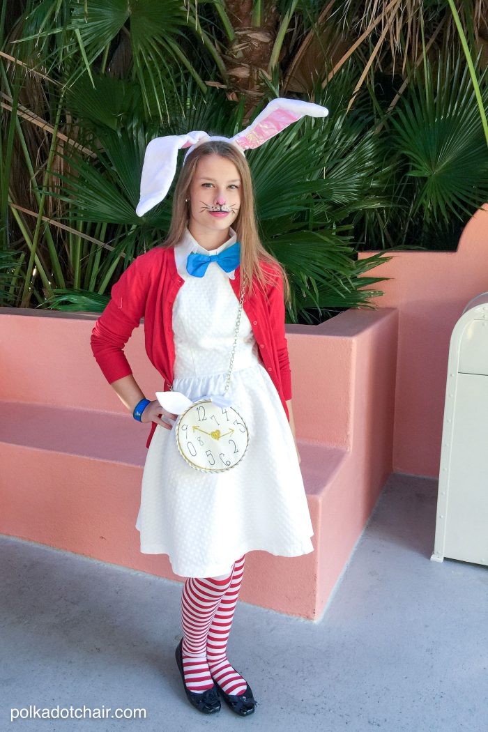 White Rabbit Costume Ideas from Alice? (Easy DIY & Store Options!)