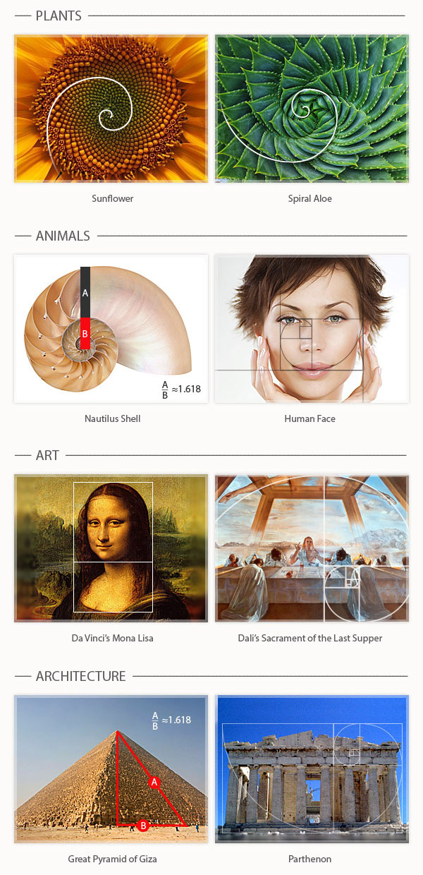 Golden mean in art styles compared: which one fits you?