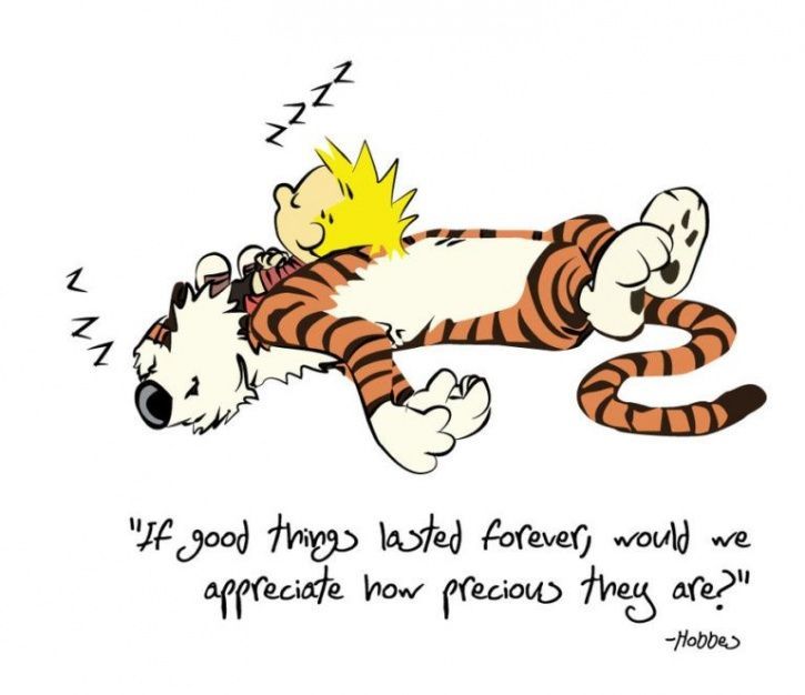 Top Calvin and Hobbes Quotes About Friendship and Life Revealed!