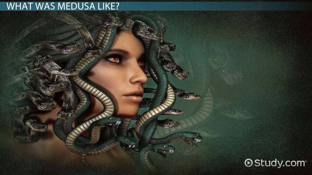 Learn Medusa Fun Facts Easy Tips for Kids and Adults