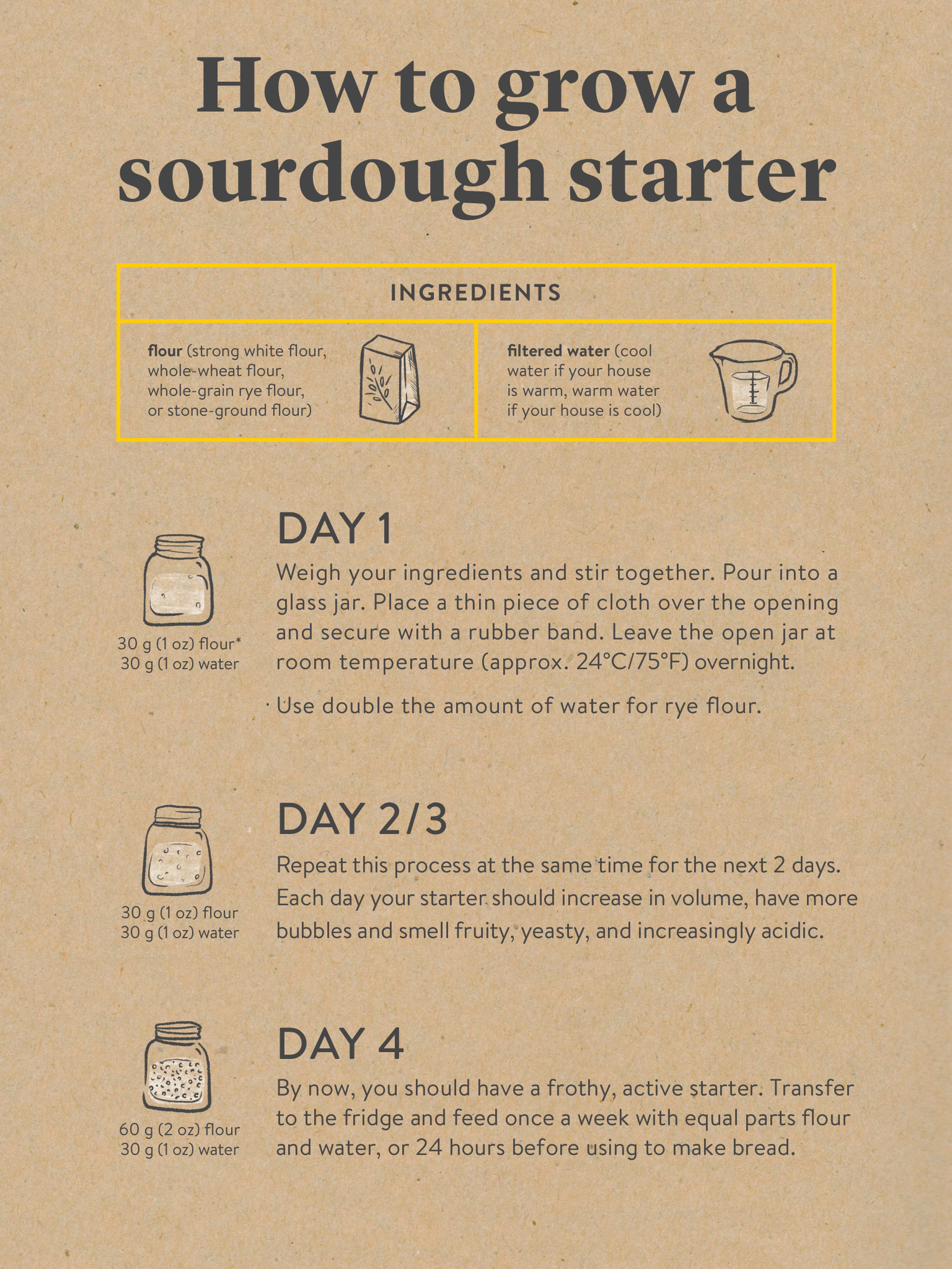 How to Use Breitwieser A Step-by-Step Guide for Starters