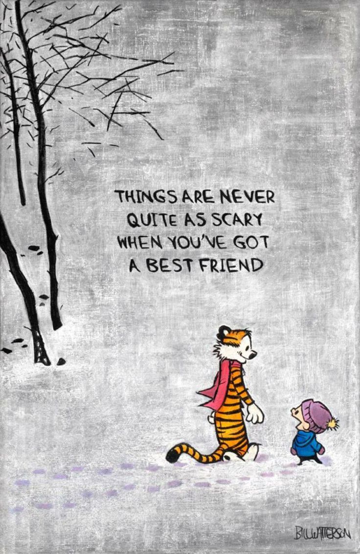 Top Calvin and Hobbes Quotes About Friendship and Life Revealed!