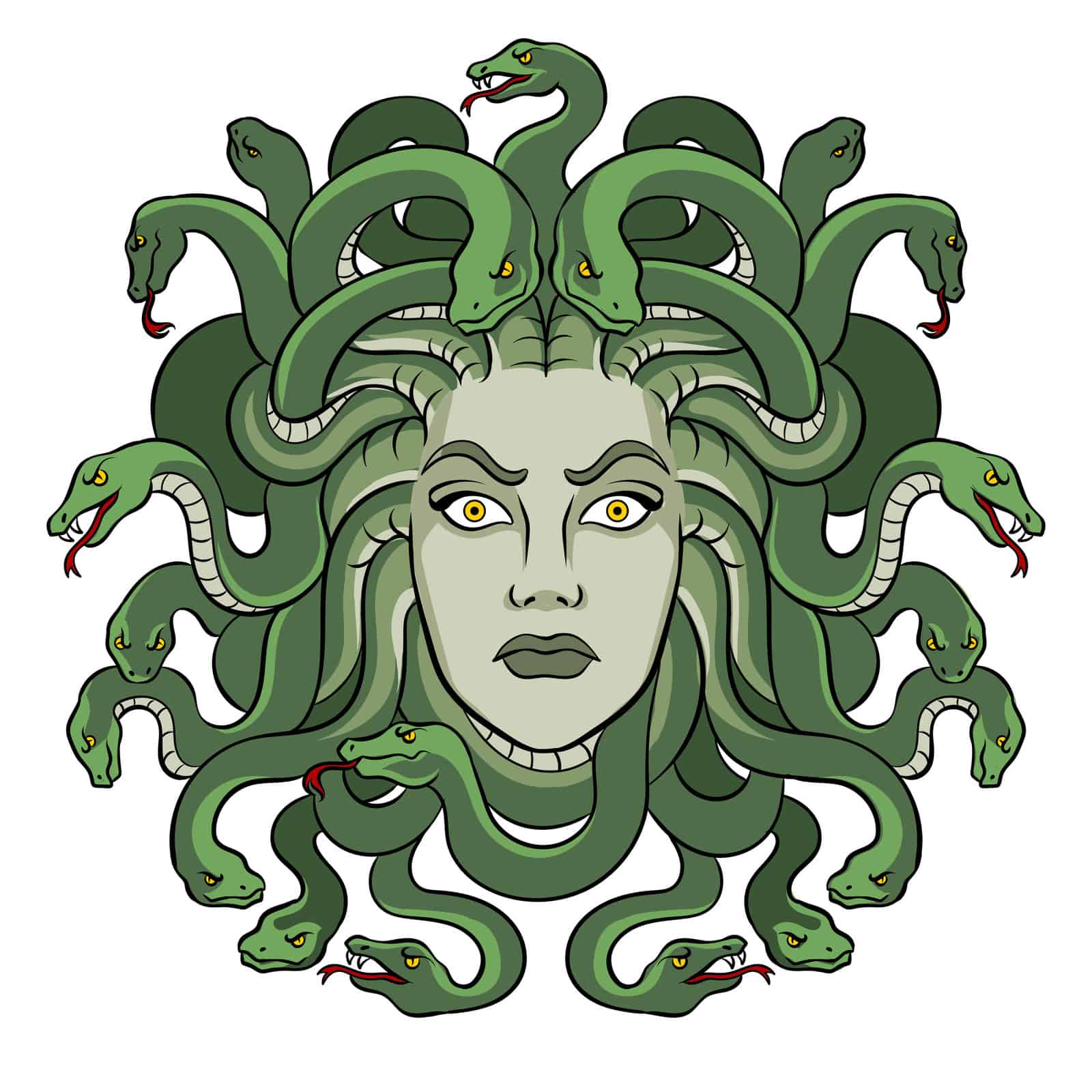 Learn Medusa Fun Facts Easy Tips for Kids and Adults