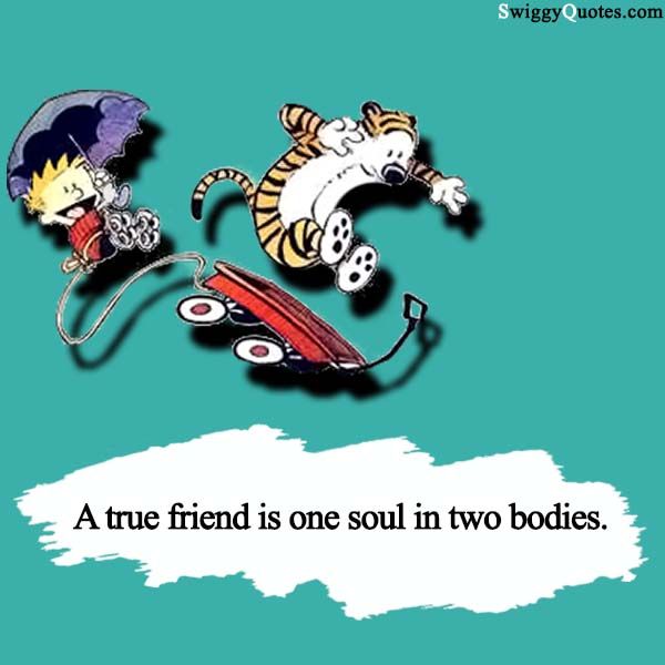 Top Calvin and Hobbes Quotes About Friendship and Life Revealed!