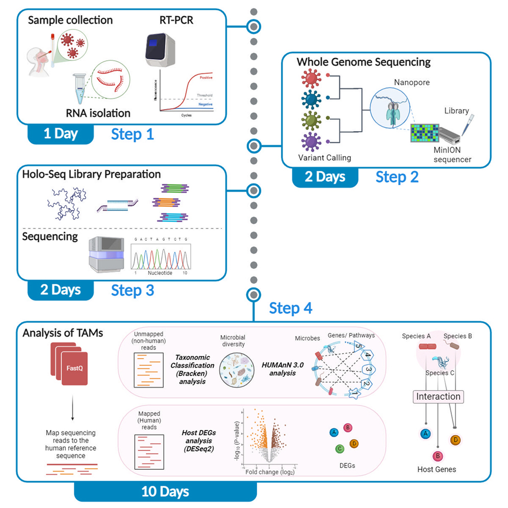 How to Use Breitwieser A Step-by-Step Guide for Starters