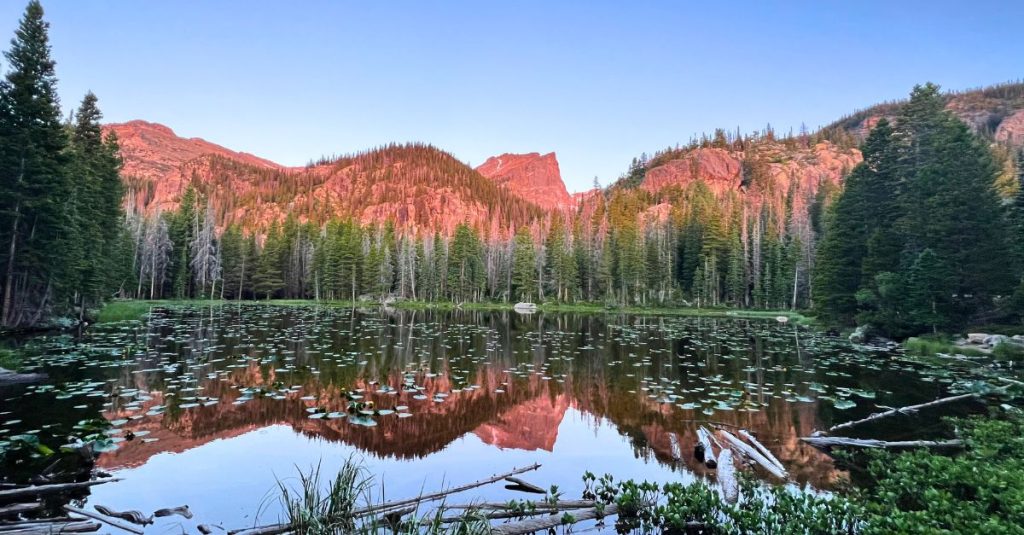 How to find mountain nymph? Top tricks for nature explorers!