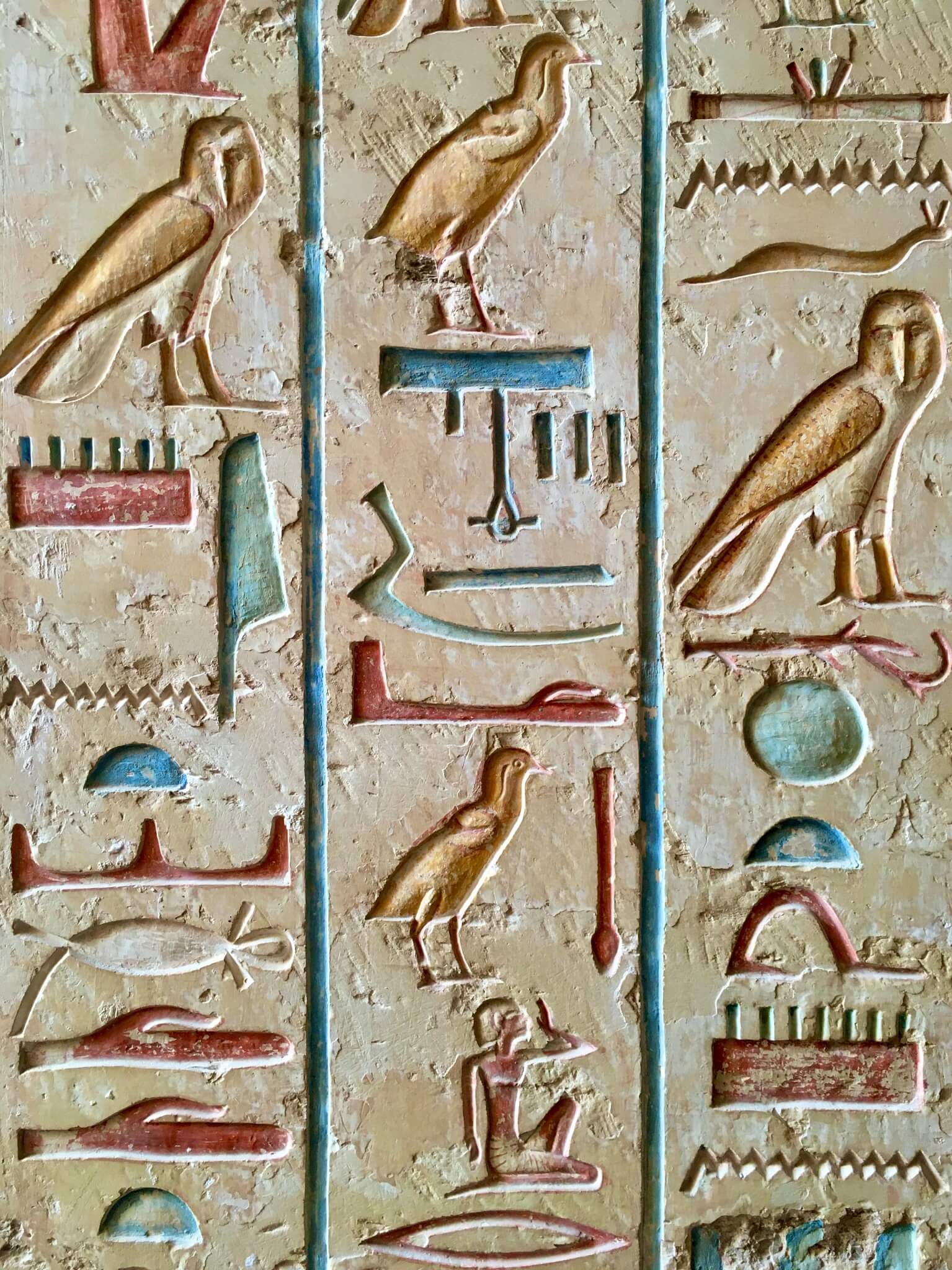 Learn bird hieroglyph basics understand ancient writing now