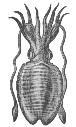 What Does Tentacle Monster Mean? Simple Explanation Inside!
